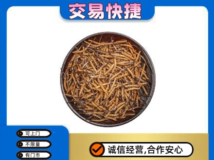郑州巩义市回收散虫草